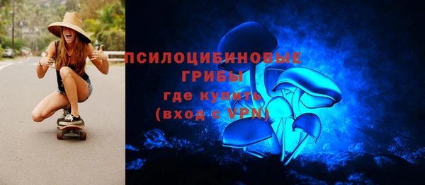 дурь Бородино