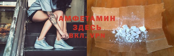 дурь Бородино