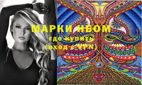 дурь Бородино