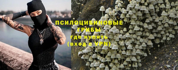 дурь Бородино