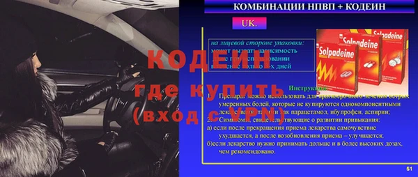 дурь Бородино