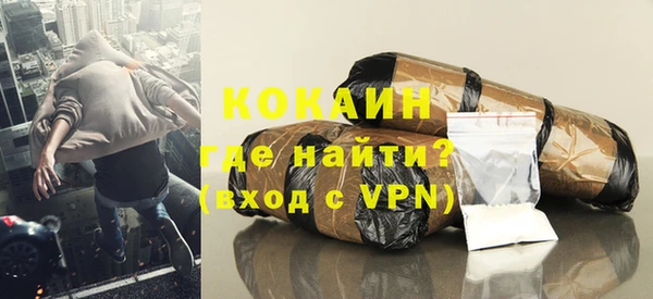 дурь Бородино