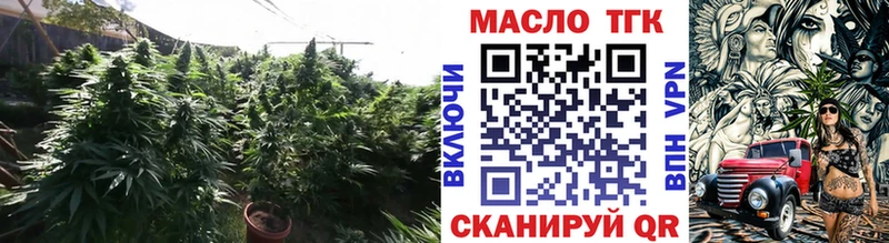Купить  Вихоревка  ТГК Wax 